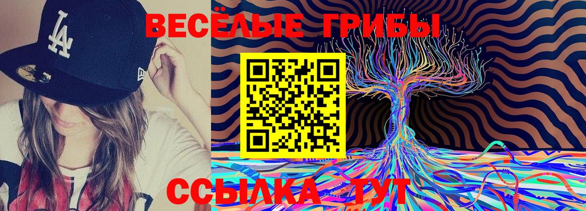 Псилоцибиновые грибы мицелий  Вход с VPN  Джанкой 